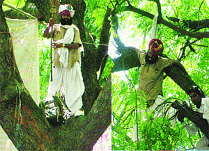 Suicide triggers political uproar