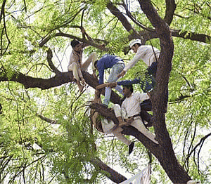 Oppn ruckus over farmer's suicide forces lS to adjourn