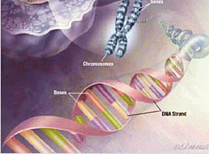 Key genes behind aggressive breast cancer identified