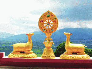 Always follow dharma