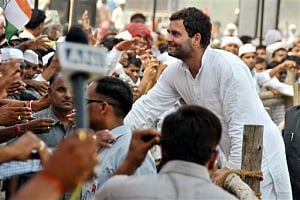 Rahul to travel to grain bowl of Punjab