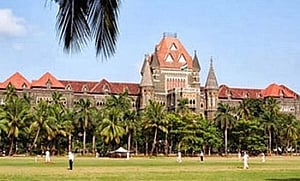 HC refuses to stay Maha law on beef ban until final hearing