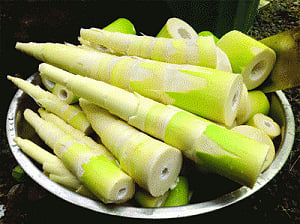 Stick to flavours