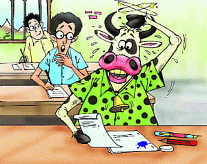 Holy cow! Cattle 'class' in engineering college