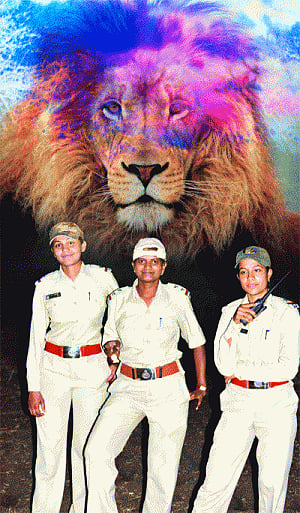 lionesses of Gir