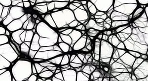 Aus researchers develop brain-mimicking memory cell