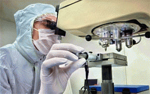 Molecules that kill only cancer cells identified