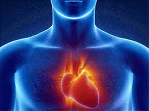 Even athletes are at risk of fatal heart diseases