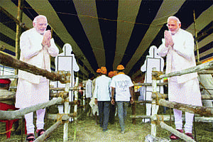 A tale of two political alliances