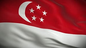 Indian-origin man fined and banned from driving in Singapore