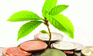Fund managers on buying spree of bank stocks ahead of RBI policy review