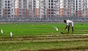NDA Cabinet approves re-promulgation of land Ordinance