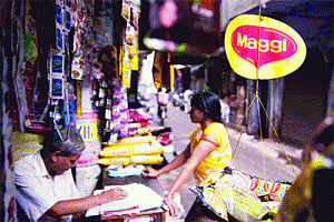Maggi's nests broken!