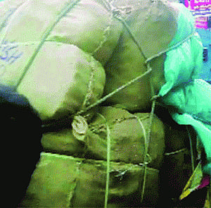 NGT hearing on June 15
