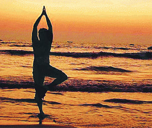 Chant what you wish, shlokas not a must