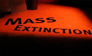 Sixth mass extinction has begun: Study