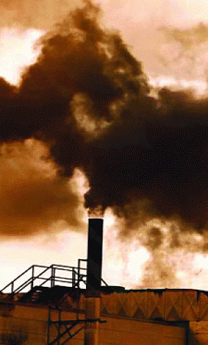 Polluting industries  yield to crackdown