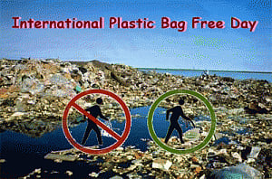 Eco-friendly plastic substitute could reduce dependency on fossil fuels: Indian scientists