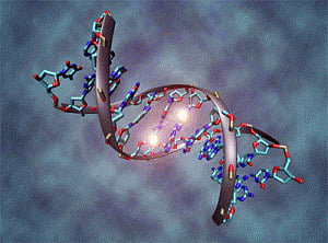 DNA repair method prevents disease
