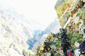 Resurrected after ban on people, Nanda Devi park to open to public