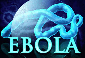 Ebola toll exceeds 11,250 in West Africa: WHO