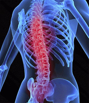 Boys are born with stronger spines: Study