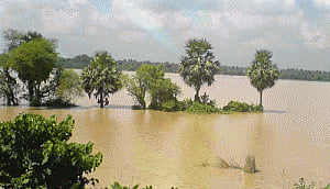 Heavy rains, floods kill over 50 in West Bengal