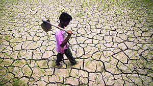 Drought fear in T, AP, thanks to hooky Monsoon
