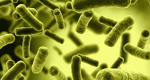 New device detects urinary tract infections in an hour