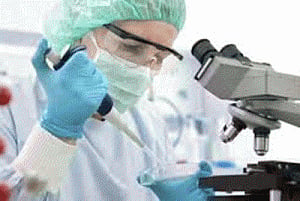Drug to block immune system could stop cancer rebound