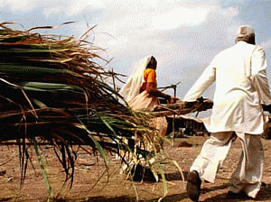 Agri Min to be renamed as Min of Agriculture& Farmers' Welfare