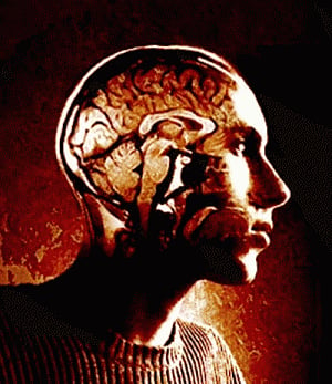 Smartphone necklace shows how brain maps memories