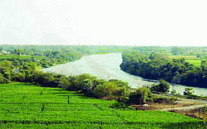 Hope floats for India