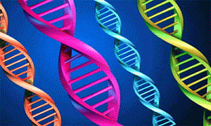 How new genes emerge during evolution