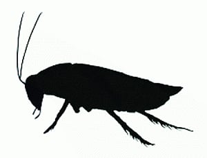 brieflyspeaking