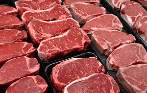 Beef recovered from vehicle in UP, driver arrested