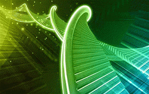 Genes may help some nations stay on top of happiness index