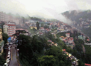 Over 800 jaundice cases reported in Shimla