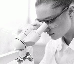 Scientists grow new cartilage tissue from cow knee joint cells