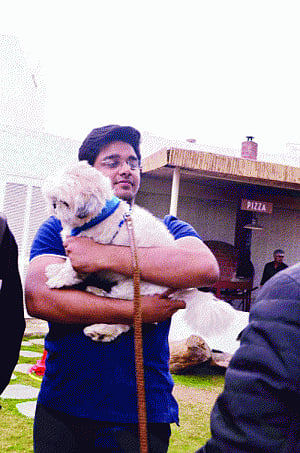 Wagging success