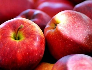 Eat apple, berries to cut flab