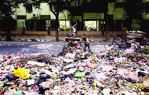 City turns into stinking dumping yard