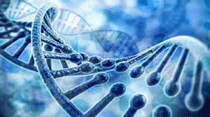 Same genes influence health, thinking skills