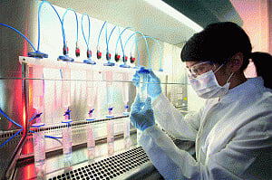 'Balancing act for India to fund stem cell research, fight poverty'