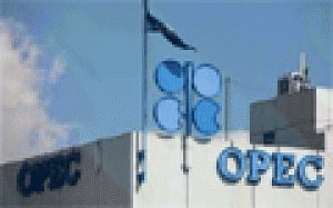 OPEC daily basket price closes lower