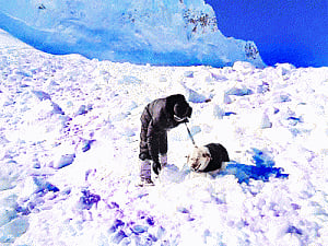 Miracle at 20,000 feet! Nation prays for Siachen survivor
