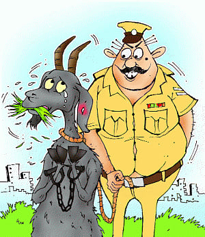 Getting Magistrate's goat: Trespasser held for eating plants!