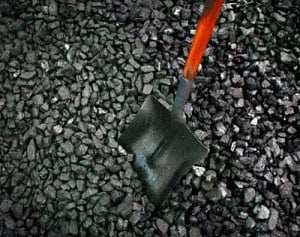 GIl director granted bail in coal case