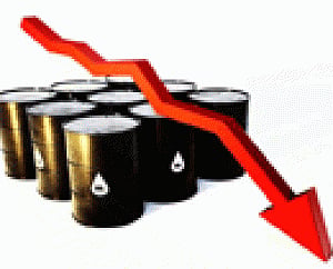 Kerala expatriates needn't panic over oil downturn, says expert