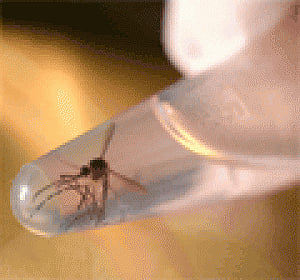 Colombia sees sharp rise in Zika cases